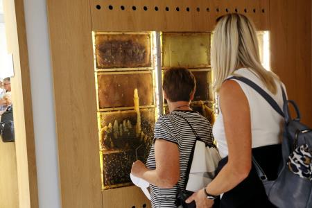 doživljajska razstava v Hiši kranjske čebele 3